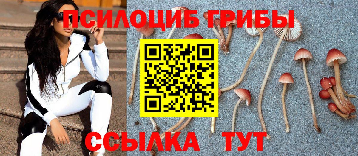 Галлюциногенные грибы Magic Shrooms Клин