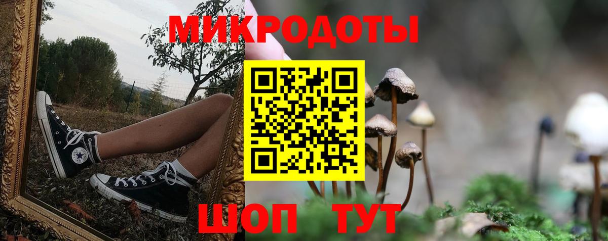 Клин  Галлюциногенные грибы Cubensis  Вход с VPN 